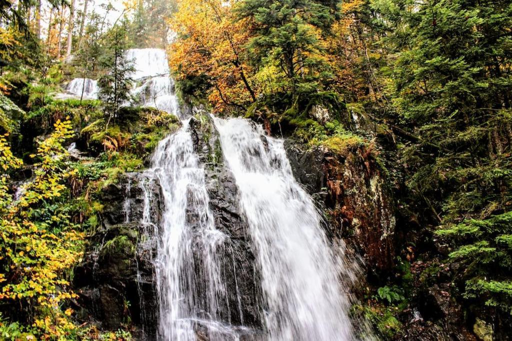 Gite Spa "La Foret Argentee" Proche Gerardmer Laveline-du-Houx Экстерьер фото